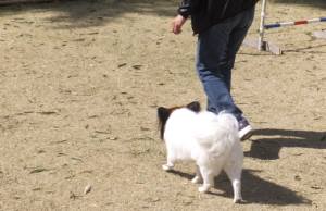 2015_03243-20リン脚側