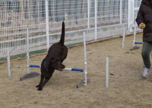 2015_03103-10ララジャンプ