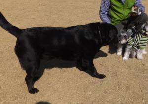 2015_03283-23べるちゃん