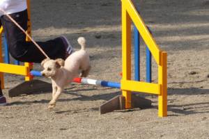 2015_03153-14リッツ