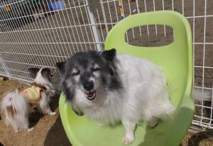 2015_03113-11ラッピー