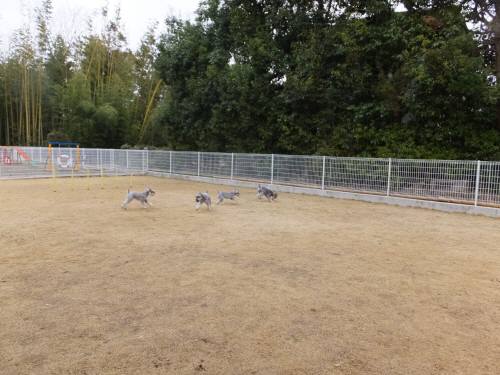 2015_03103-10メーテルファミリー