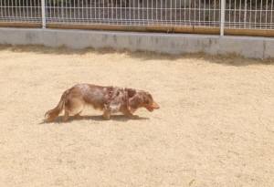 2015_03163-15saratyann