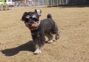 2015_03253-21ラック