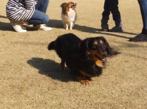 2015_03303-25チップ