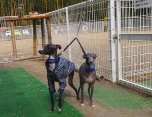 2015_03133-12モネマーブル