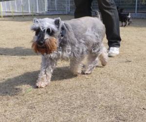 2015_03253-21シュート