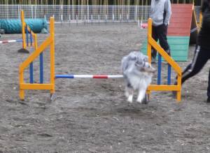 2015_03093-9アイルジャンプ