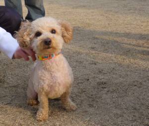 2015_03153-14-2リッツ