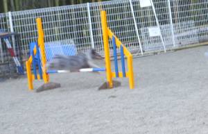 2015_03313-26マドカ