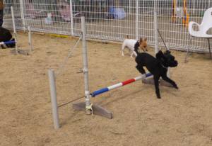 2015_03143-13ウルー