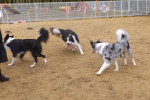 2015_03083-8ボーダー３