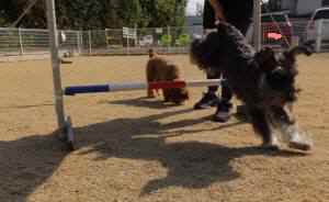 2015_03063-6ケルンジャンプ