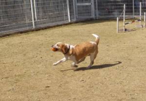 2015_03283-23ムサシ