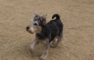 2015_03293-24ヒュウガ