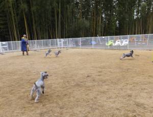 2015_03103-10メーテルファミリー２