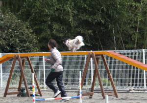 2015_03113-11バニラ