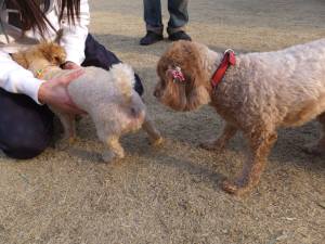 2015_03153-14-2あいさつ