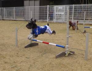 2015_03283-23ケルン