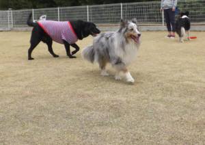 2015_03293-24アイルベル