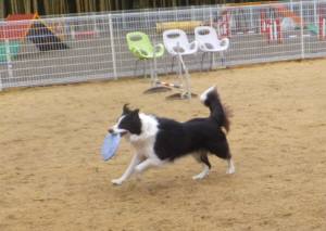 2015_03083-8ボーダー２