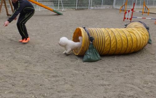 2015_03293-24アムル