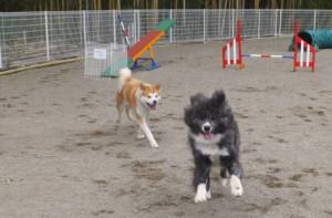 2015_03163-15マキトミー