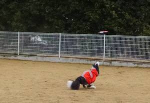 2015_03083-8ボーダー１