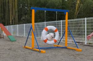 2015_03143-13アムルタイヤ