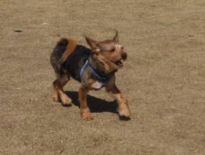 2015_03243-20ジャック２