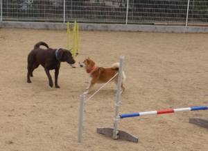 2015_03143-13ららあい