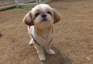 2015_03143-13ひめちゃん