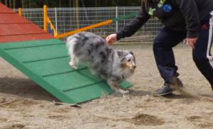 2015_03143-13アイル