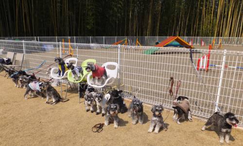 2015_03153-14集合２