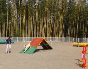 2015_03163-15なっつ