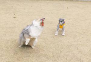 2015_03293-24アイルめい