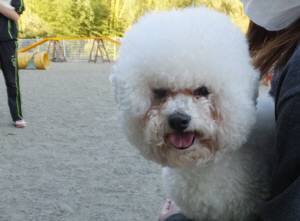 2015_03283-23アムル