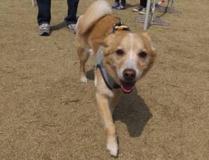 2015_03293-24ルーク