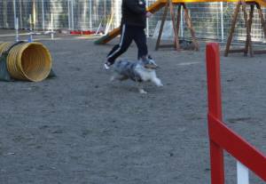 2015_03253-21アイルラン