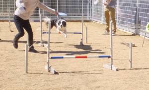 2015_03043-4獅子丸