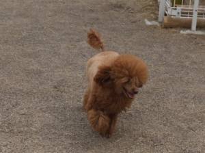 2015_03163-15クレア