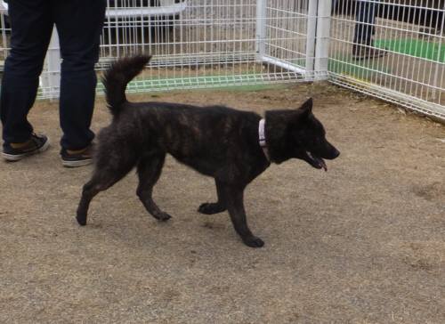 2015_03143-13さくら