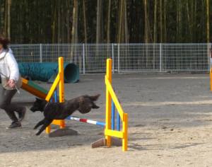 2015_03153-14さくら