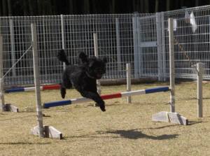 2015_03303-25ウルー