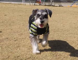 2015_03283-23メイちゃん