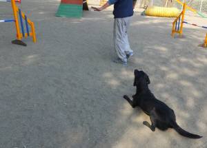 2015_03313-26ハル待て