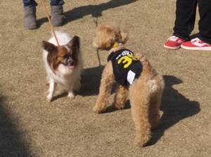 2015_03303-25くうそら