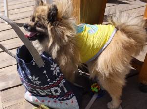 2015_03253-21ポンちゃん