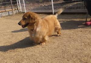 2015_03153-14ライム