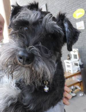 2015_03063-6ケルン